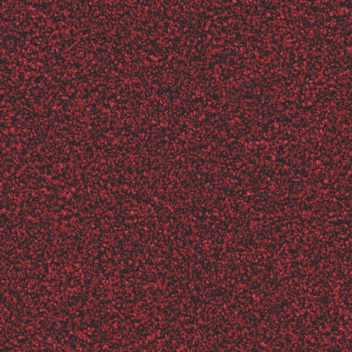 CORAL Bright 2603 Vivid Earth 200cm
