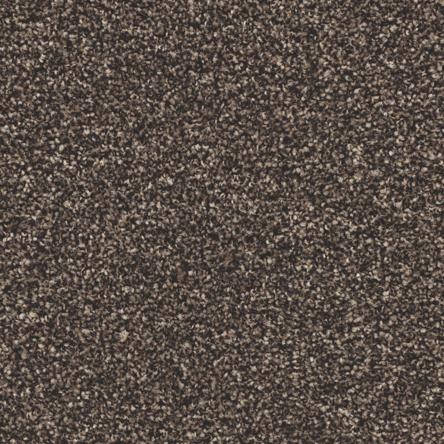 CORAL Bright 2604 Virgin Sand 200cm