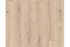Forest Oak Natural Plank