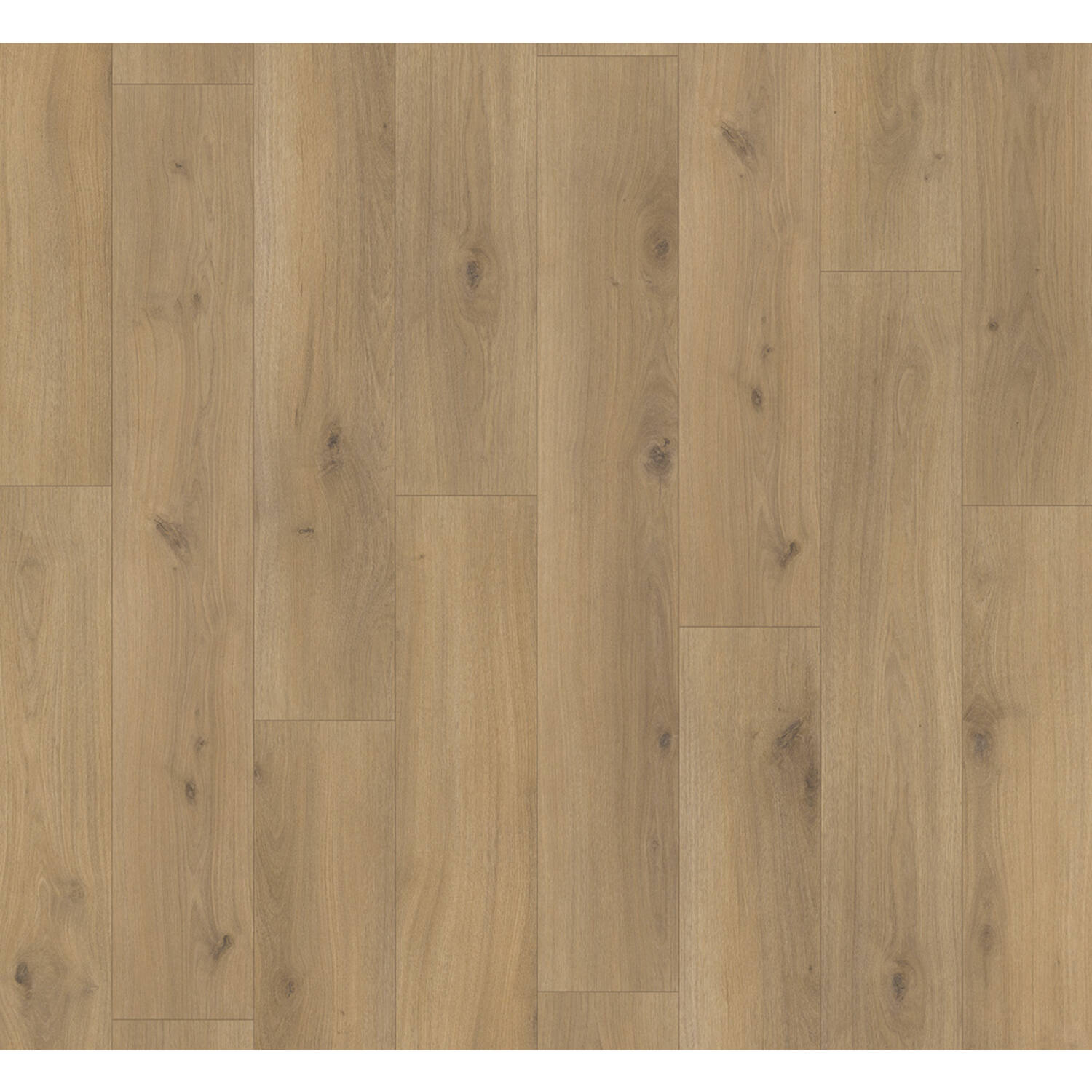 PARADOR Basic 200 4V eiken Horizont Natuur