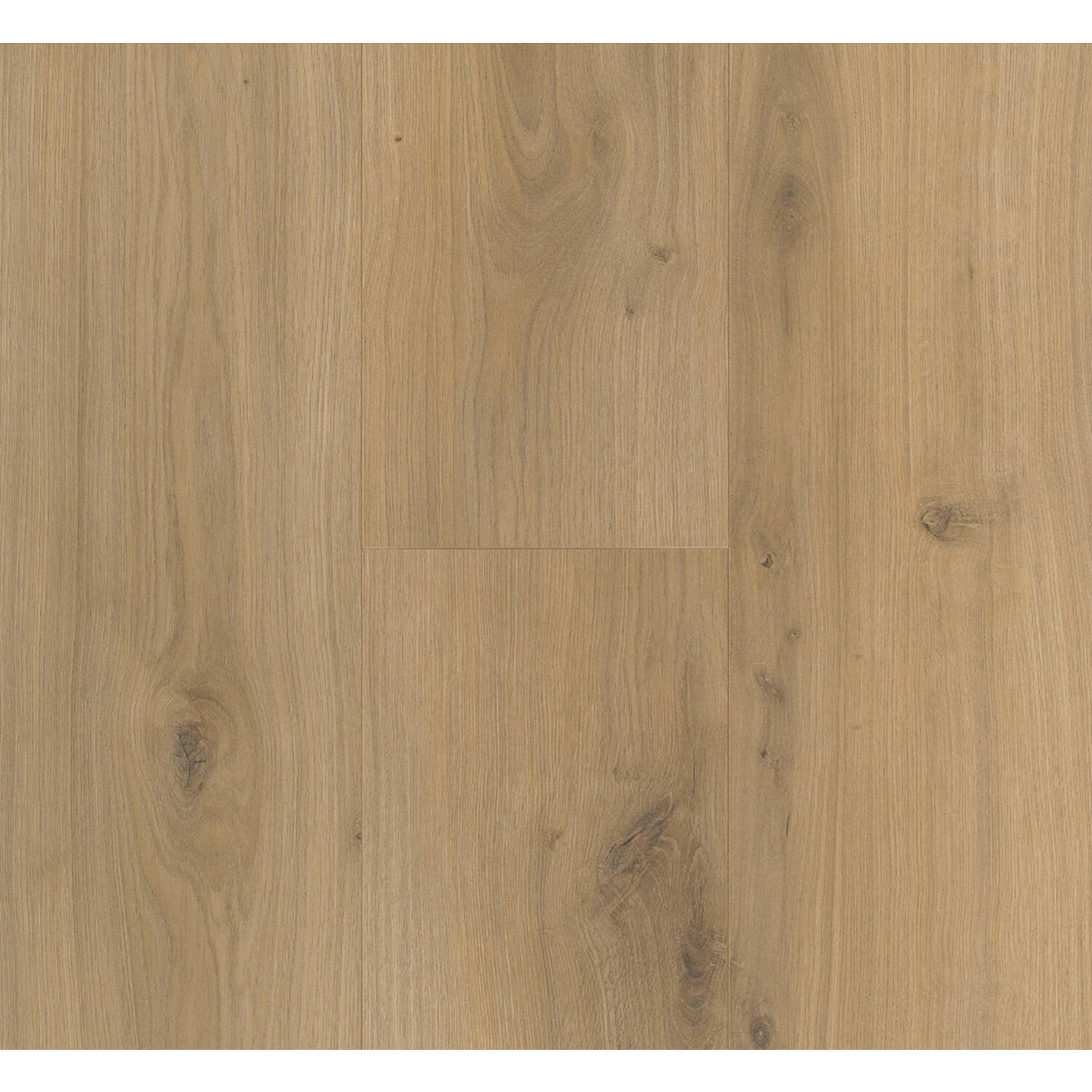 PARADOR Basic 200 4V eiken Horizont Natuur