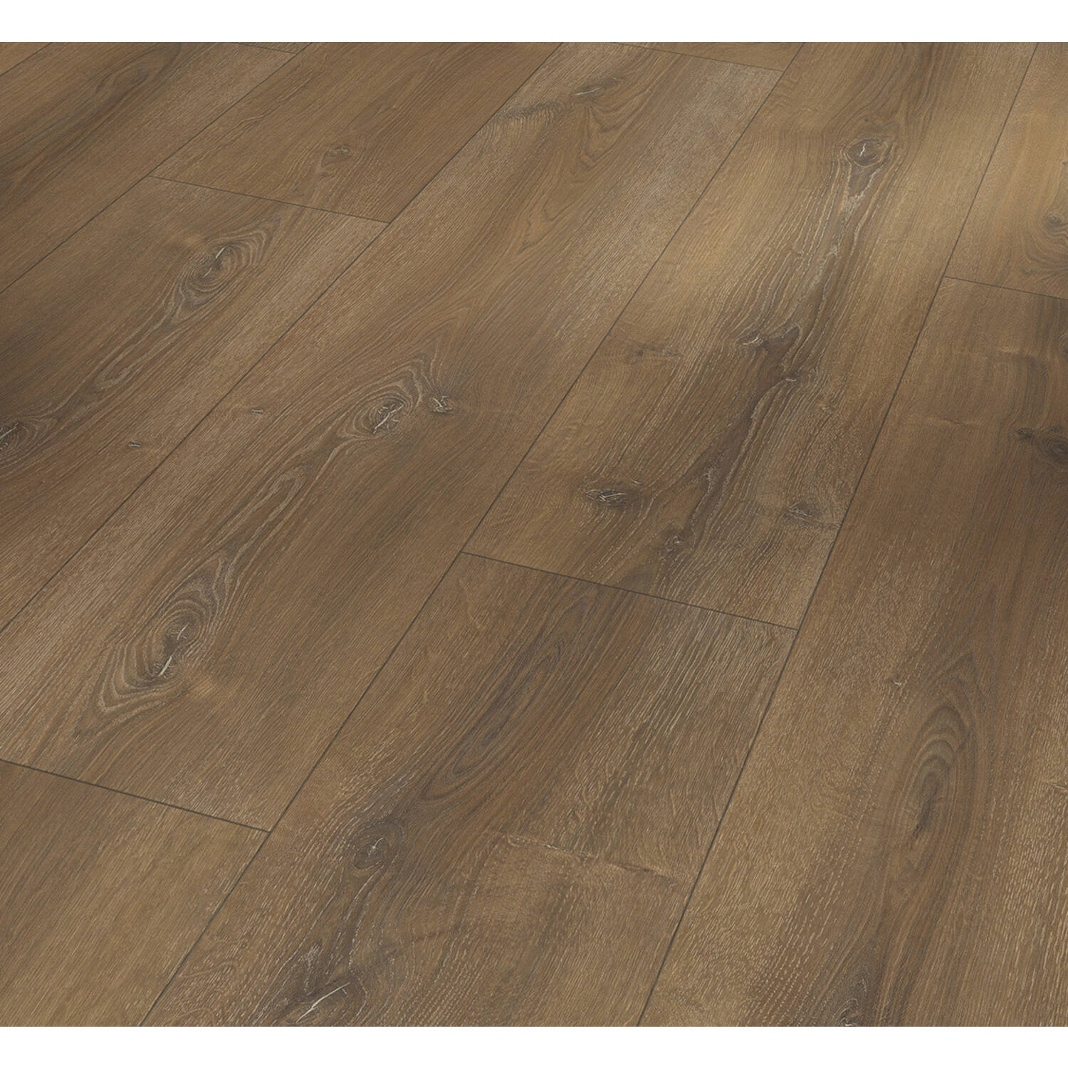 PARADOR Basic 600 XS eiken Montana Gekalkt