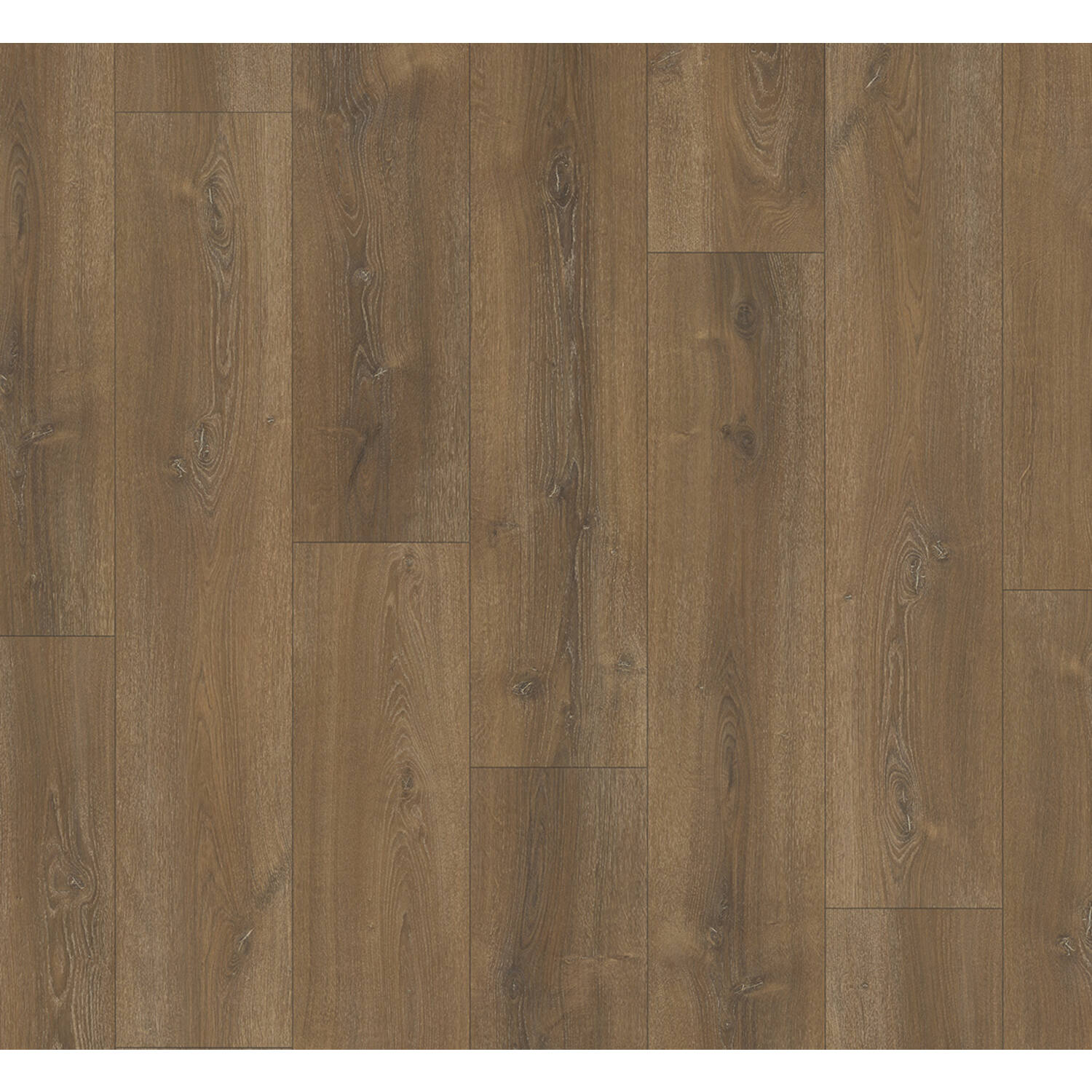 PARADOR Basic 600 XS eiken Montana Gekalkt