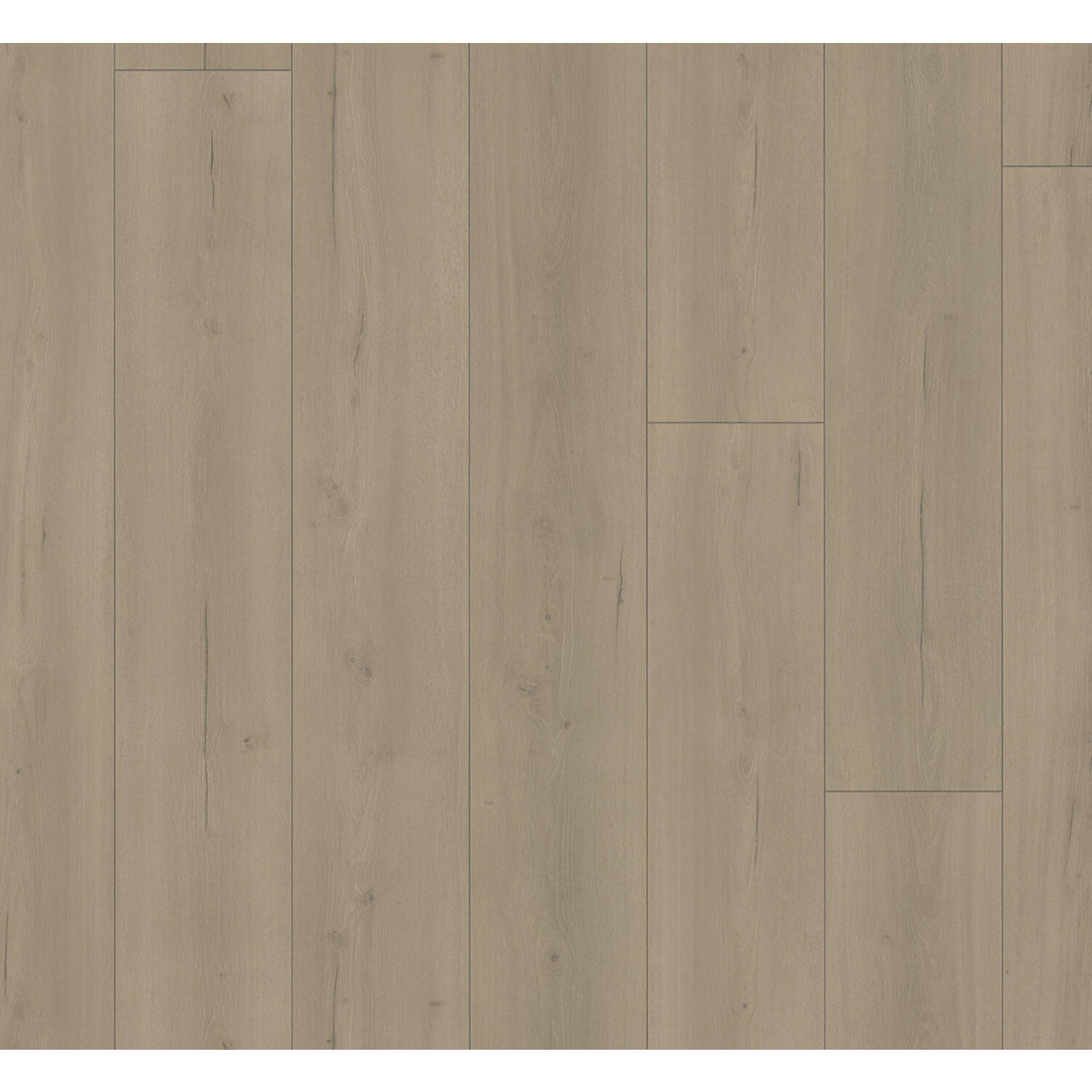 PARADOR Trendtime 6 eiken Loft Grijs