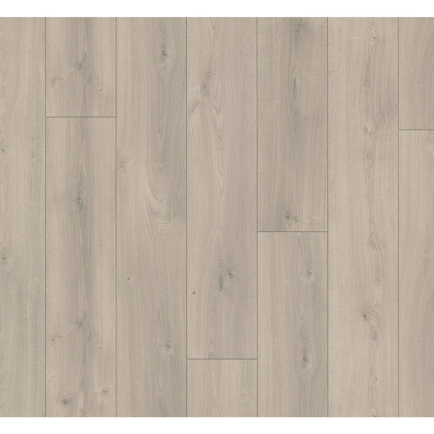 PARADOR Trendtime 6 eiken Mistral Grijs