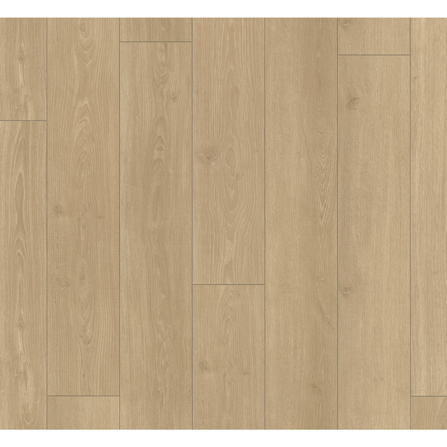 PARADOR Trendtime 6 eiken Studioline Natuur