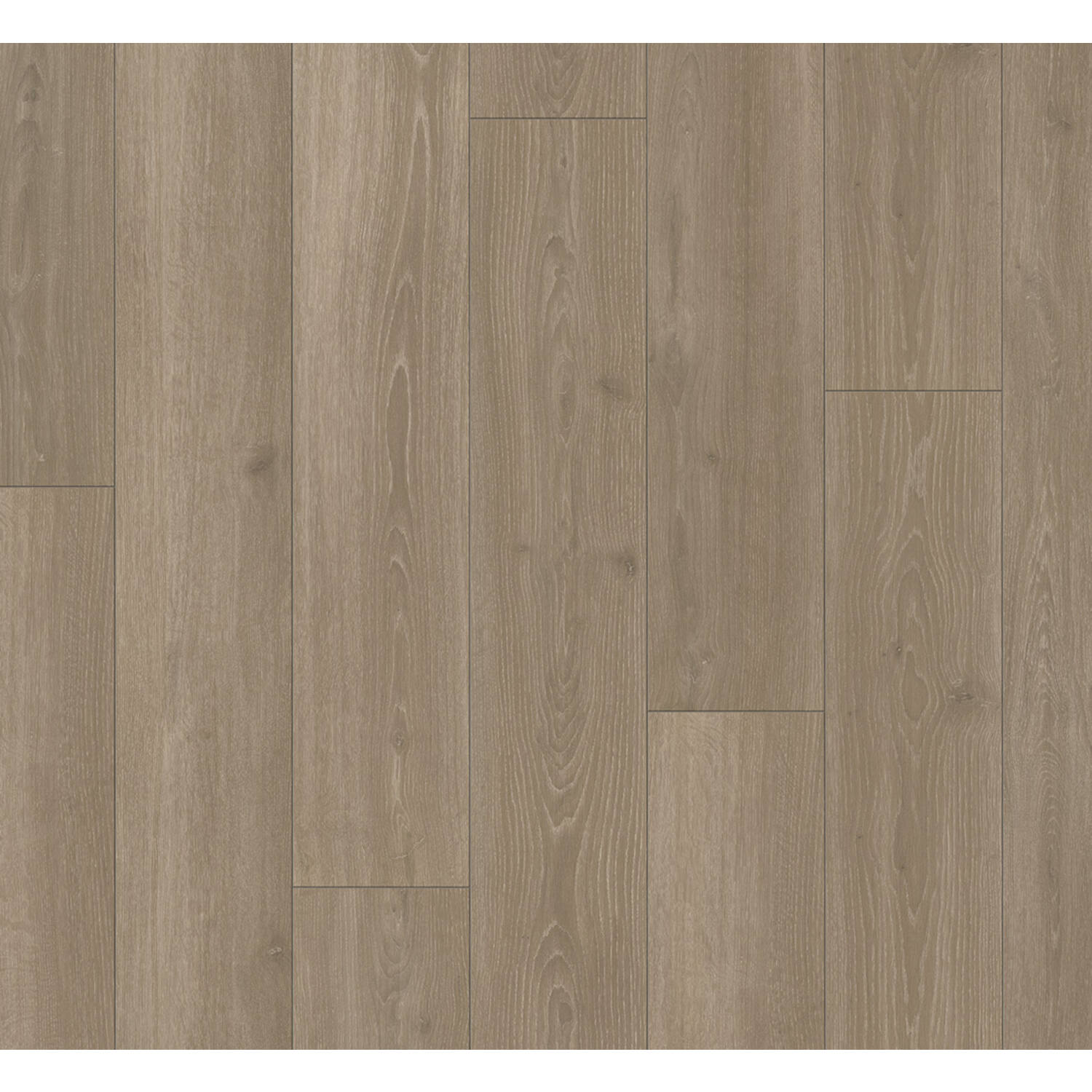 PARADOR Trendtime 6 eiken Skyline Parelgrijs