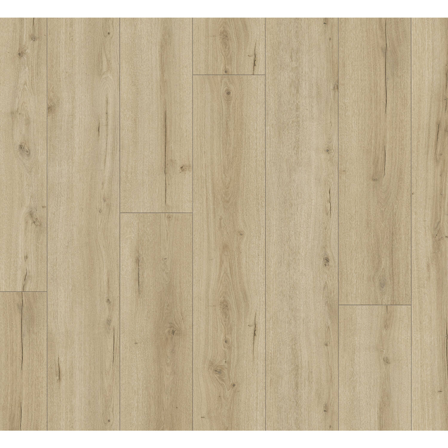 PARADOR Trendtime 6 eiken Loft Puur Levendig