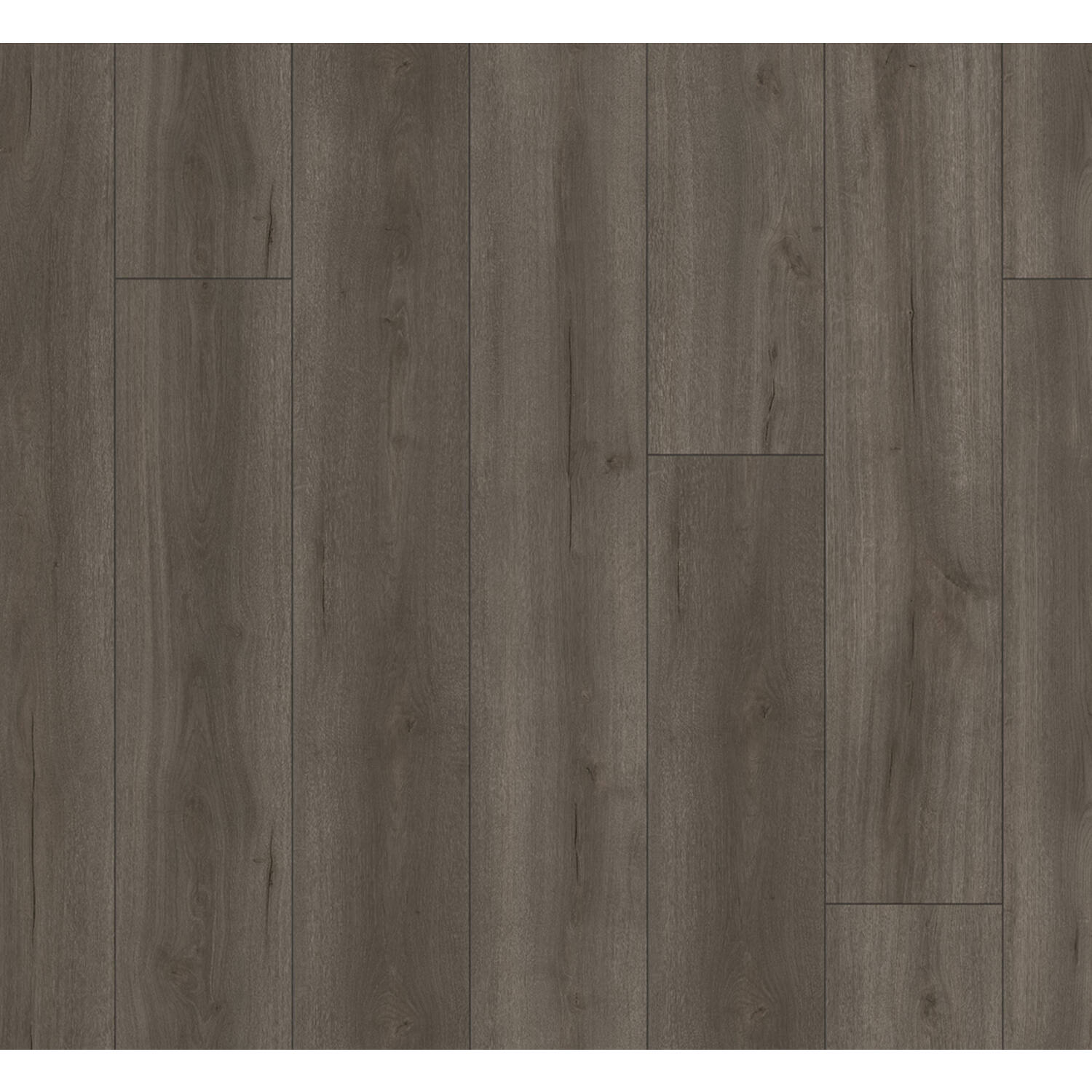 PARADOR Trendtime 6 eiken Loft Gerookt Wit Geolied