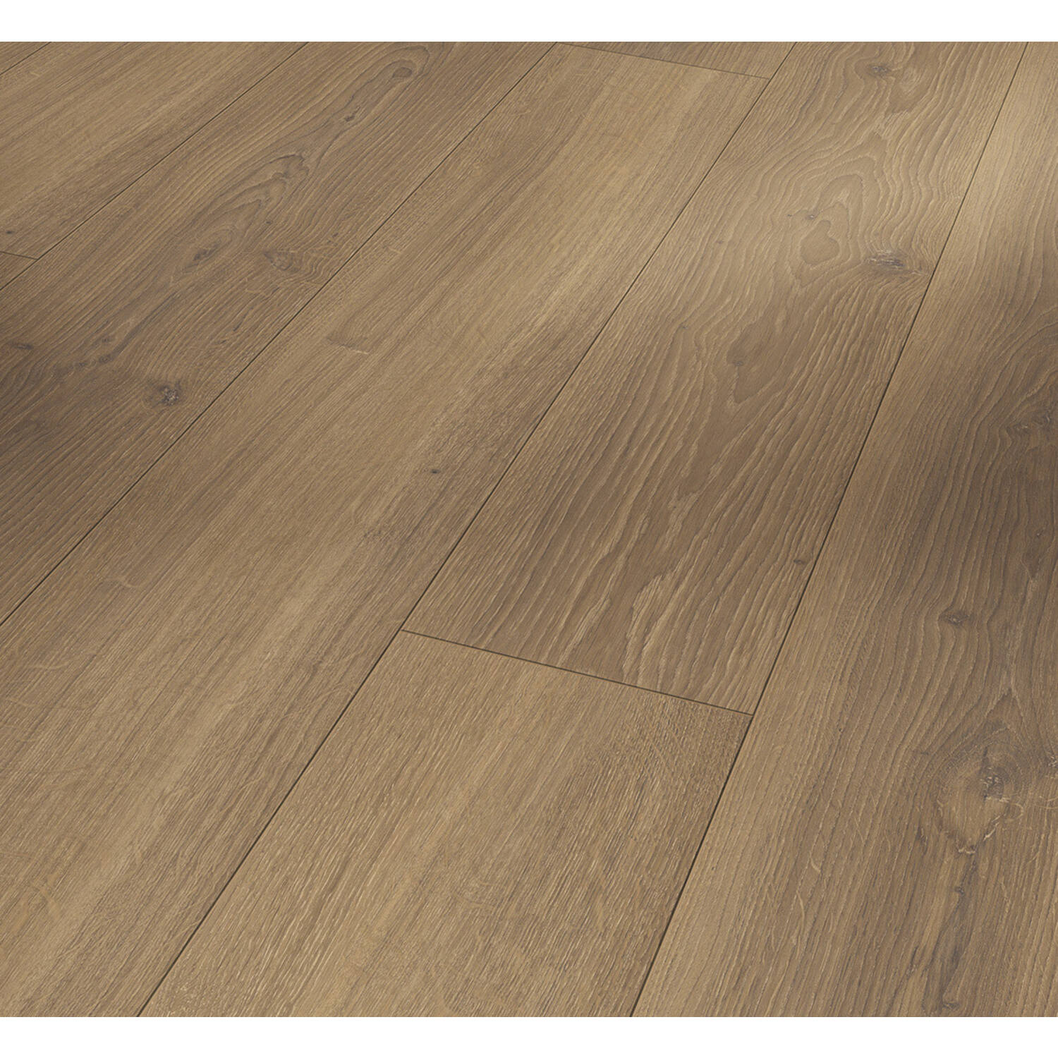 PARADOR Trendtime 6 eiken Studioline Honing