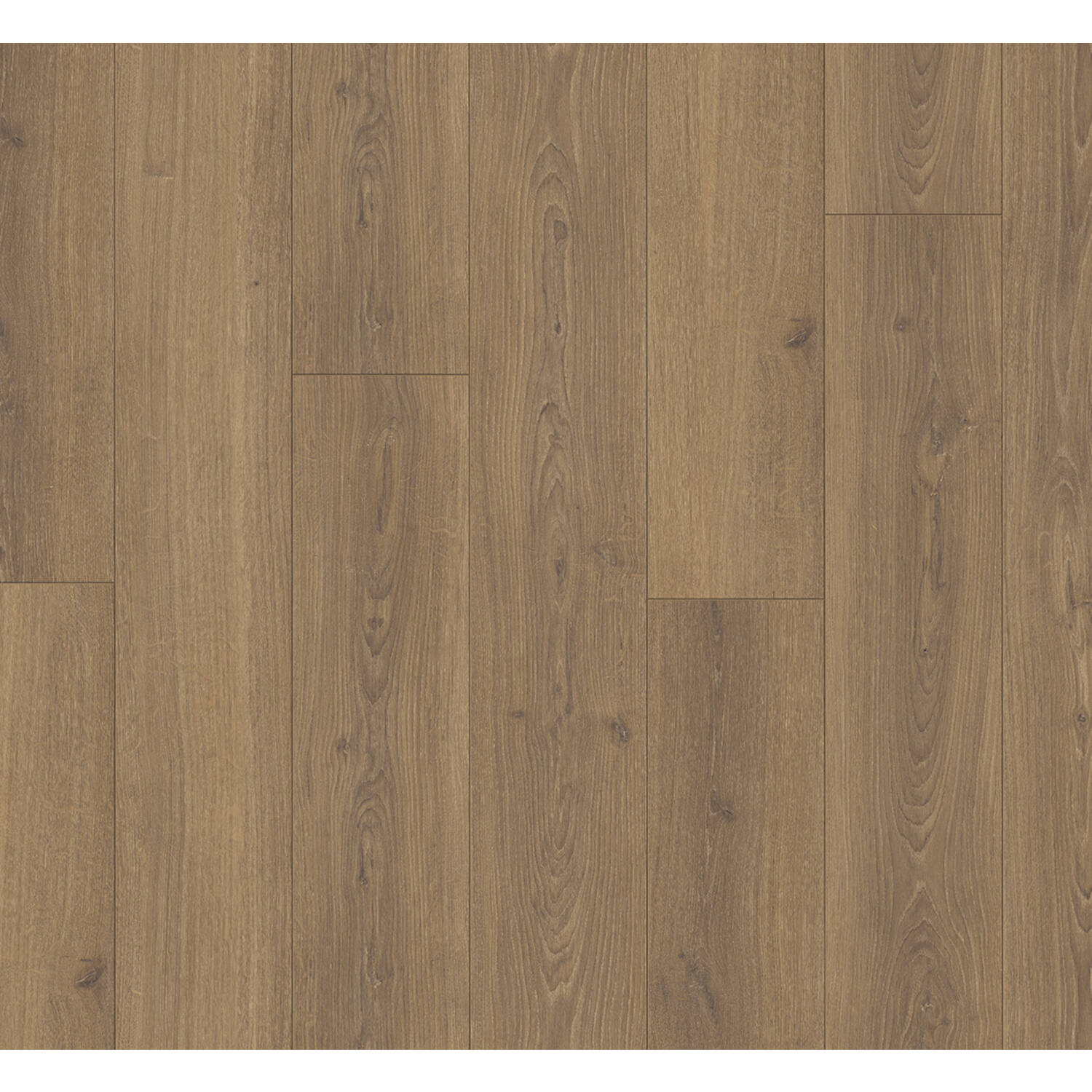 PARADOR Trendtime 6 eiken Studioline Honing
