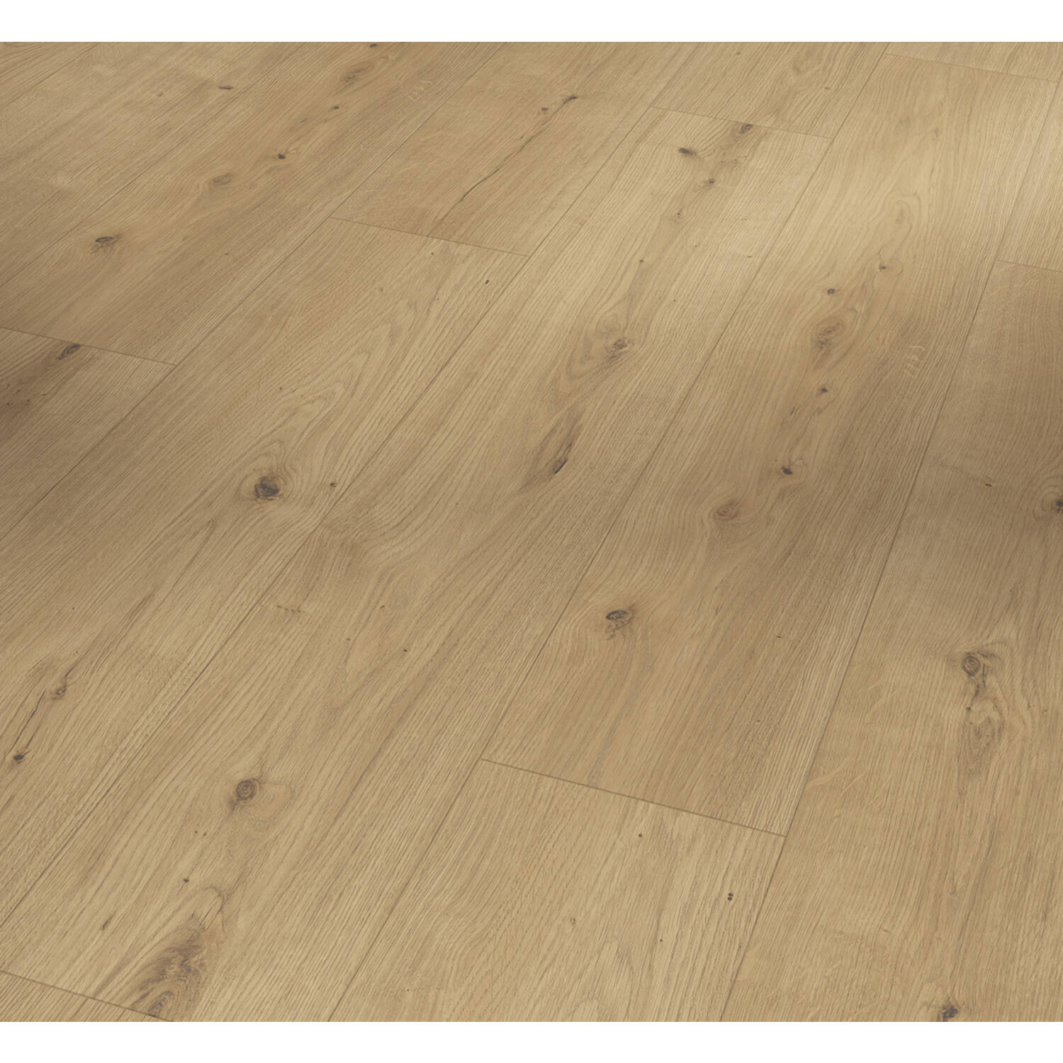 PARADOR Modular One Hydron Atmosphere Natuur