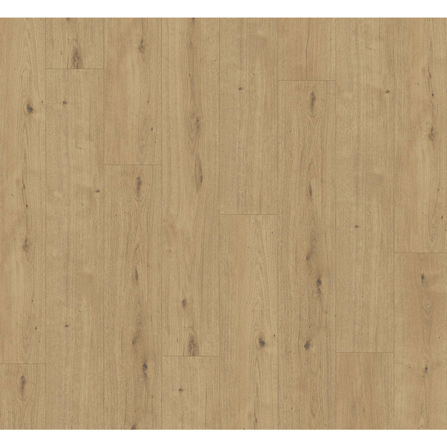 PARADOR Modular One Hydron Atmosphere Natuur