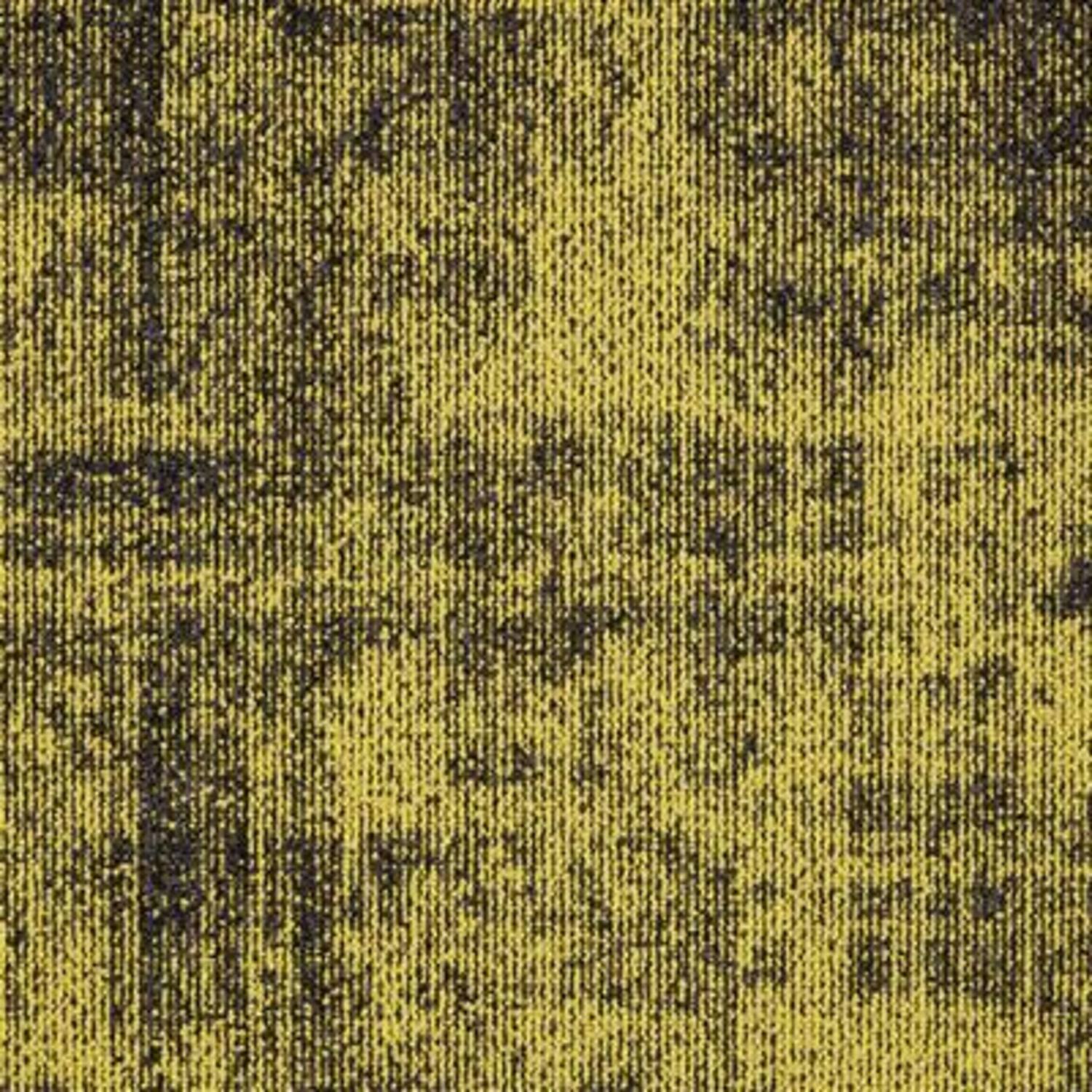 MODULYSS 28 First Define Kleur 210