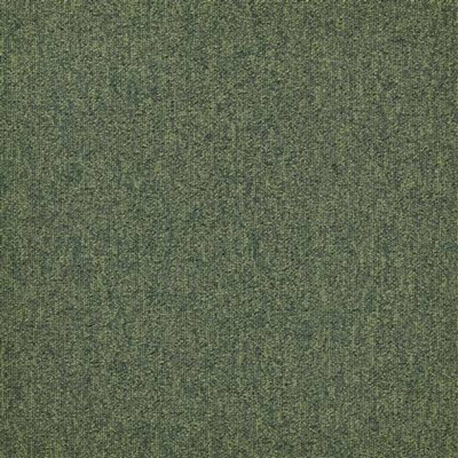MODULYSS 24 First Forward Kleur 625