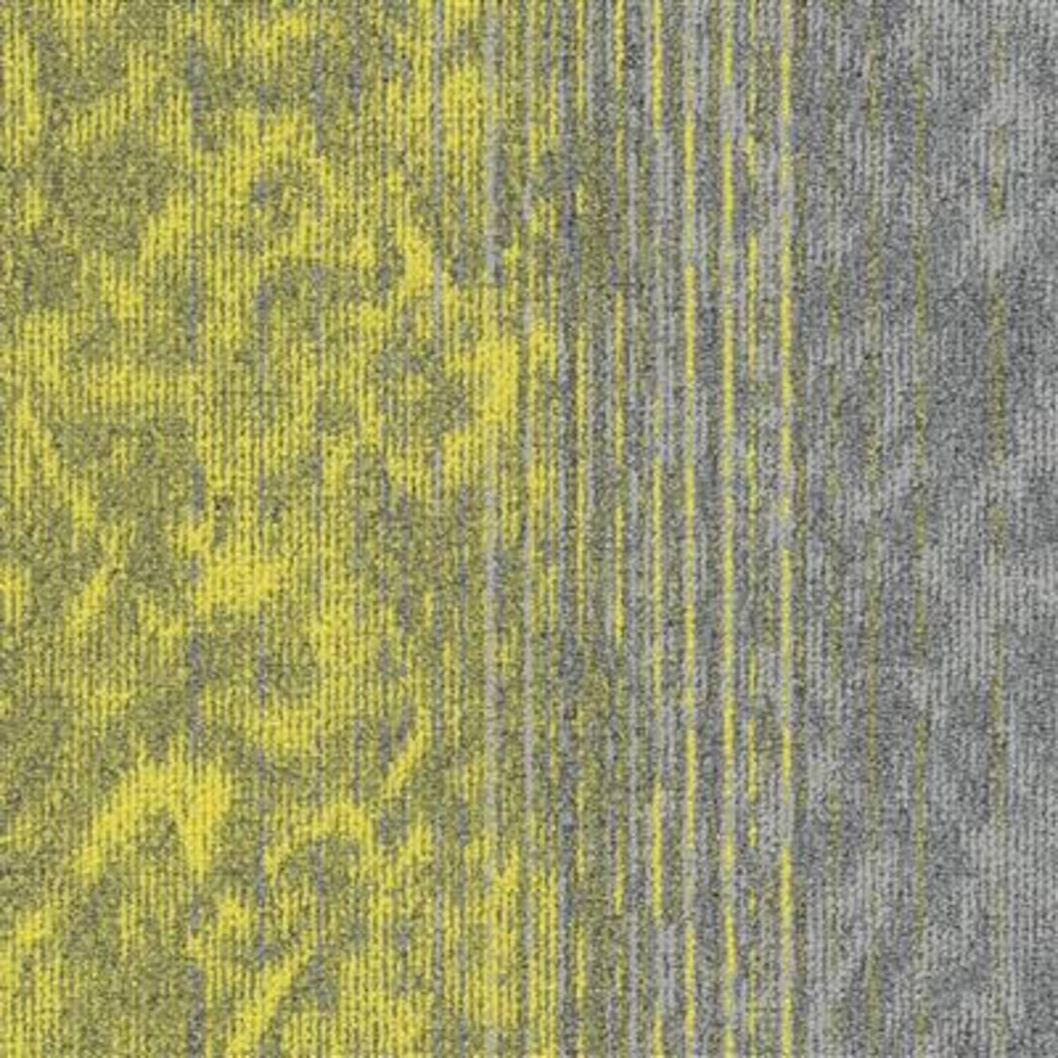 MODULYSS 34 Motion Kleur 210