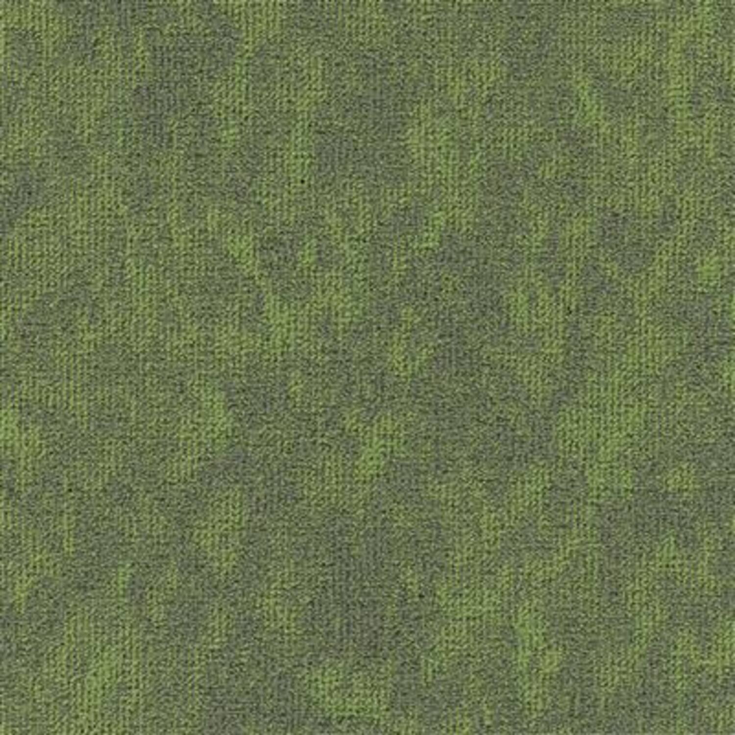 MODULYSS 34 Vision Kleur 669