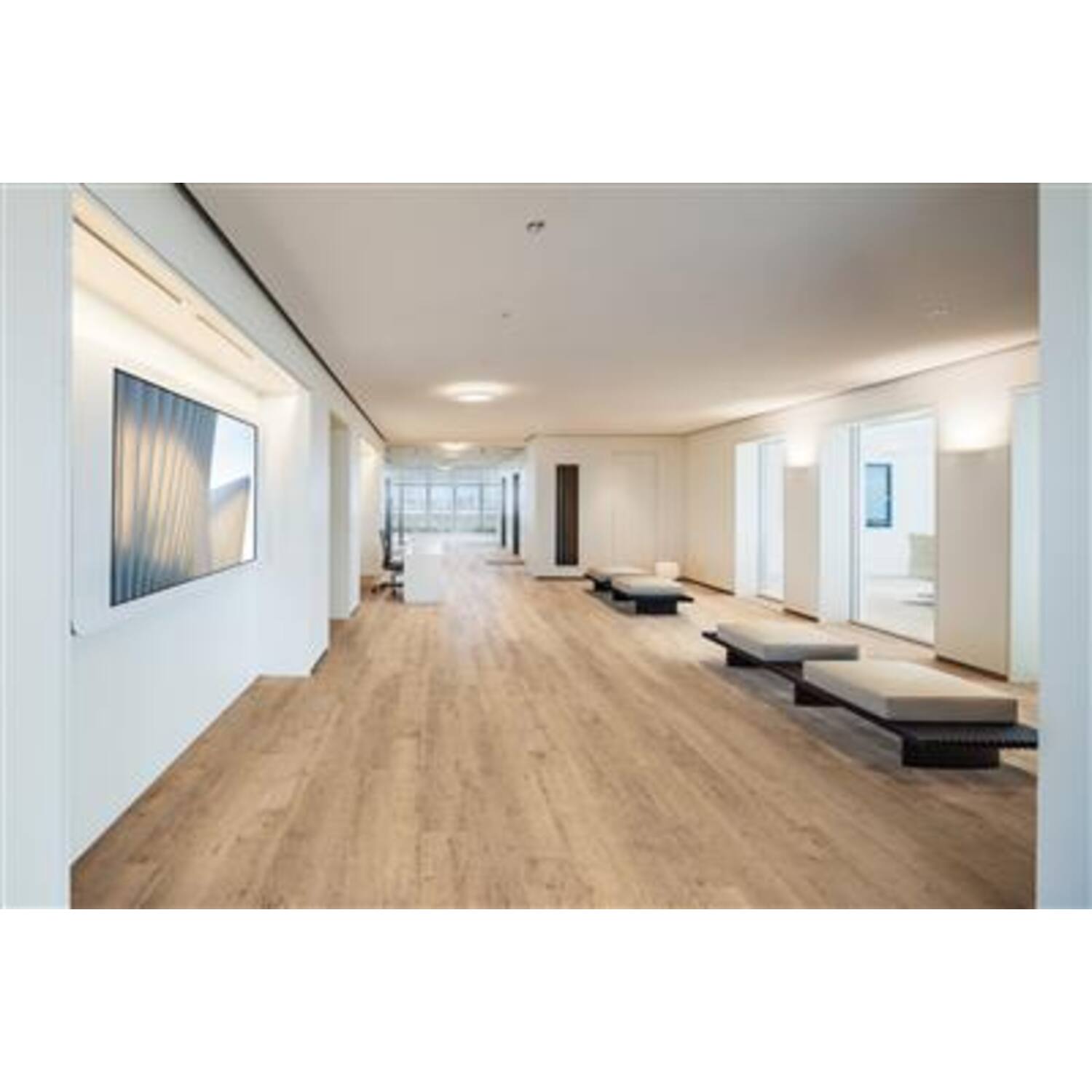 EXPONA Commercial Light 4078 Shoreline Oak