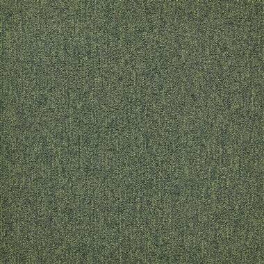 MODULYSS 24 First Forward Kleur 625