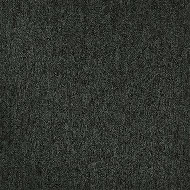 MODULYSS 24 First Forward Kleur 668