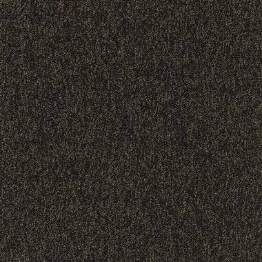 MODULYSS 53 Spark Kleur 212