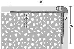 PRINZ 187 Trapkantprofiel 40x26mm Zilver 250cm